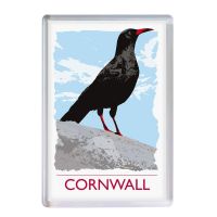 Acrylic Fridge Magnet - Cornwall Chough