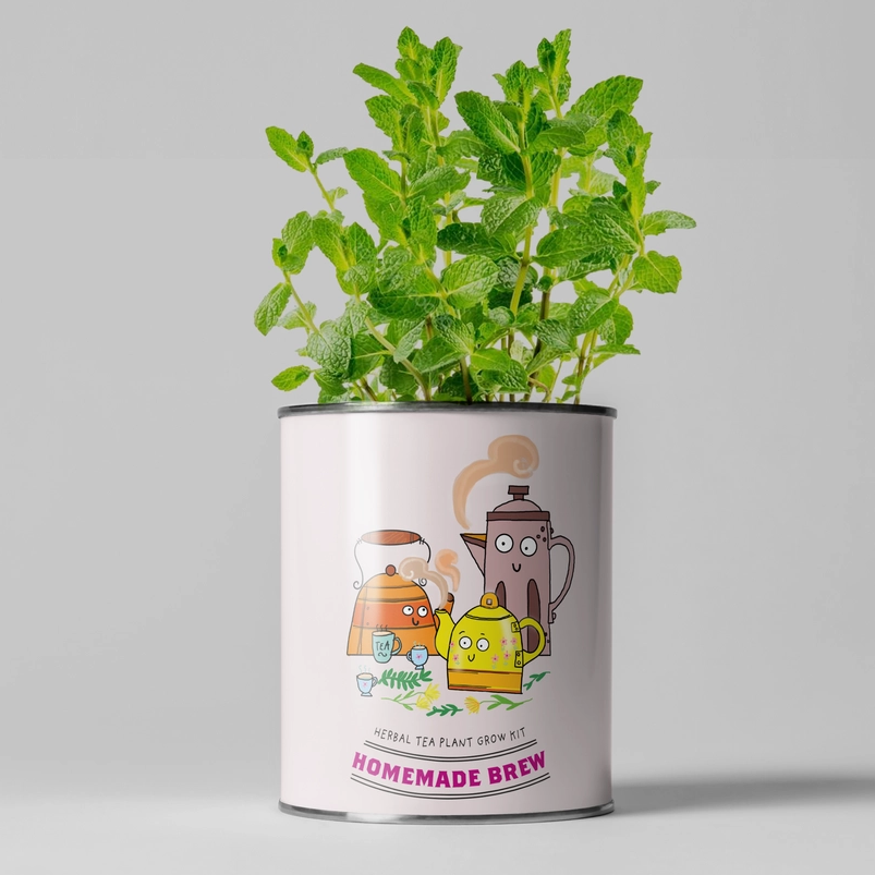 Grow Your Own Herbal Tea Plant Kit