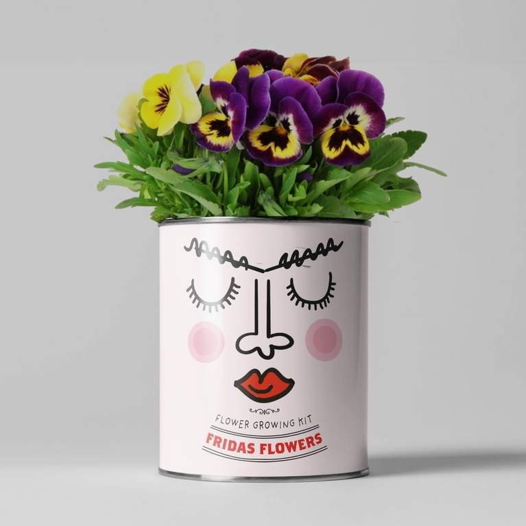 Frida's Flowers Grow Your Own Kit