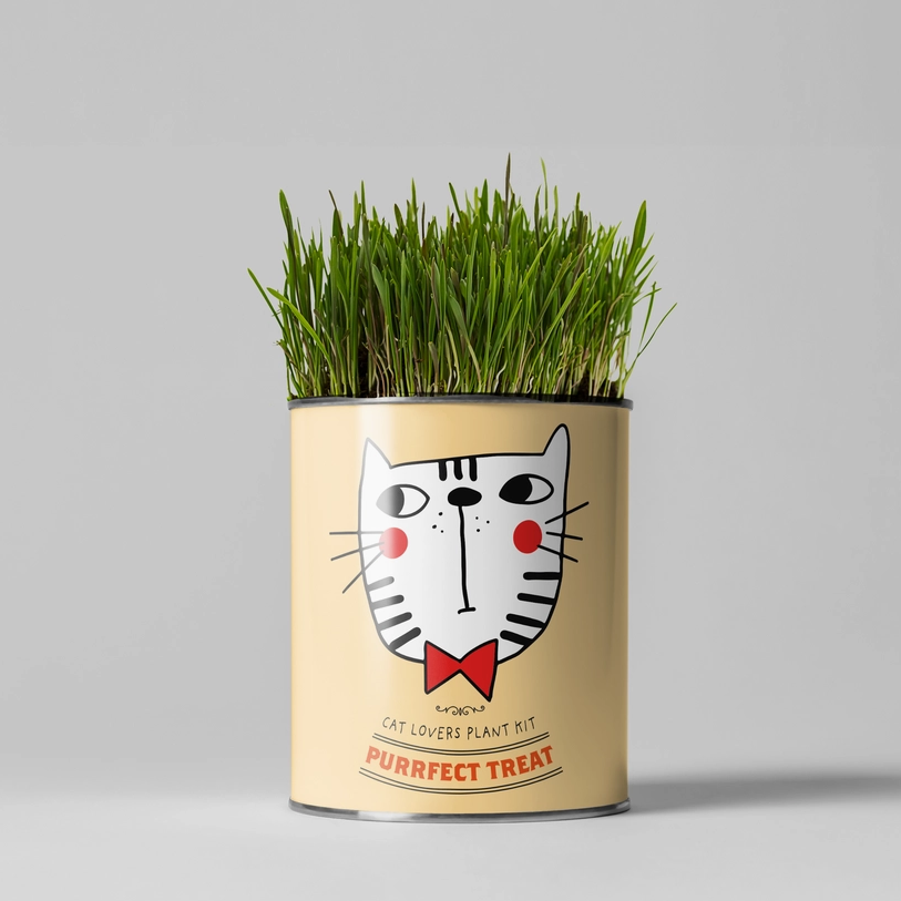 Purr-fect Treat Grow Your Own Kit