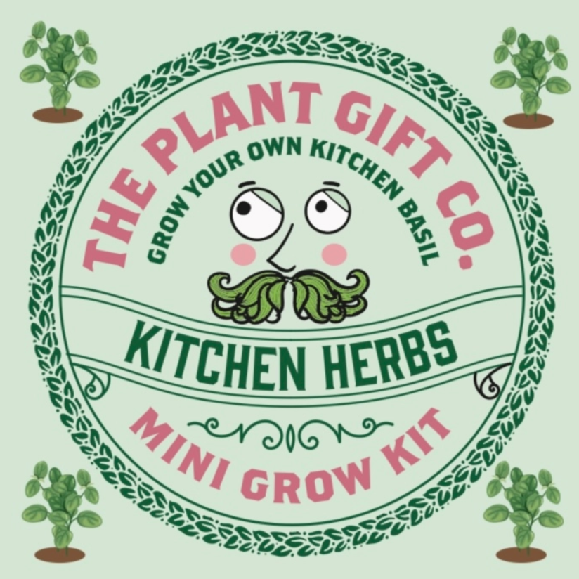 Mini Grow Your Own Kitchen Herbs Kit