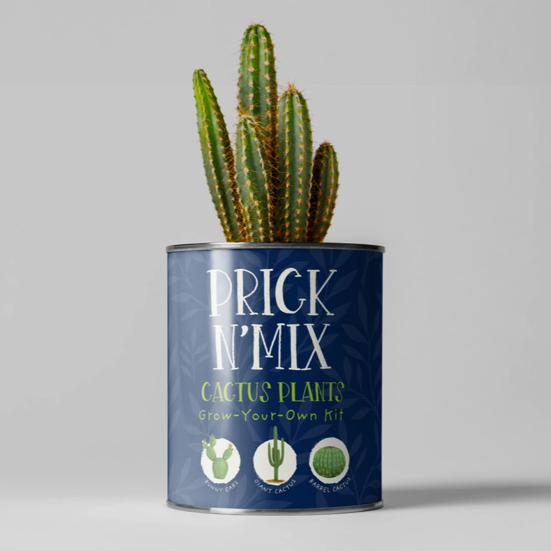 Prick n Mix Grow Your Own Kit