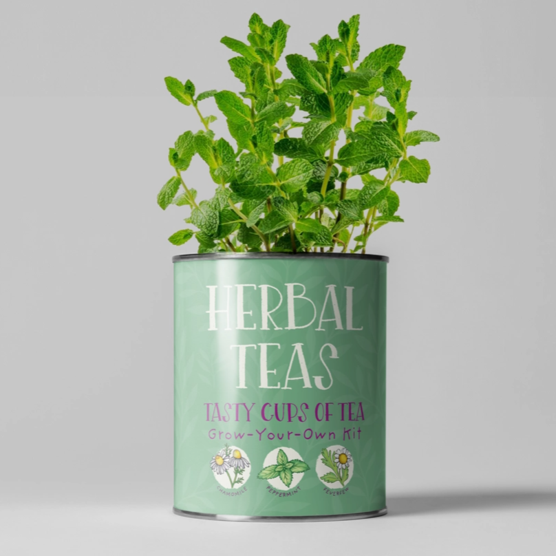 Grow Your Own Herbal Teas Plant Kit