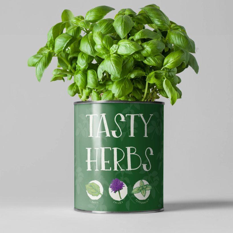 Tasty Herbs Grow Your Own Kit