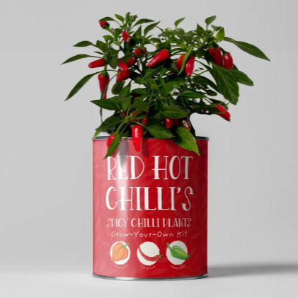 Red Hot Chillies Grow Your Own Kit