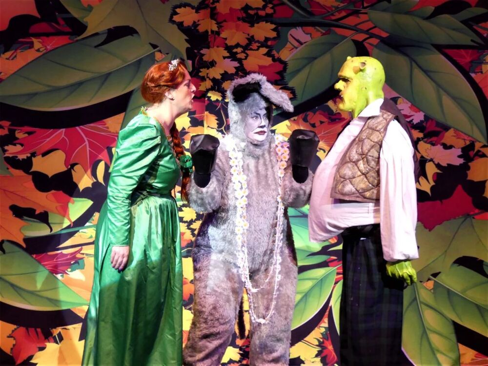 Shrek 05 - A1 STAGE SCENERY AND SET HIRE FOR