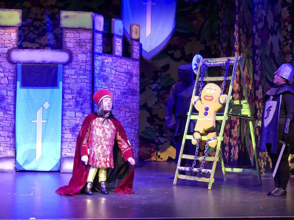 Shrek 15 - A1 STAGE SCENERY AND SET HIRE FOR