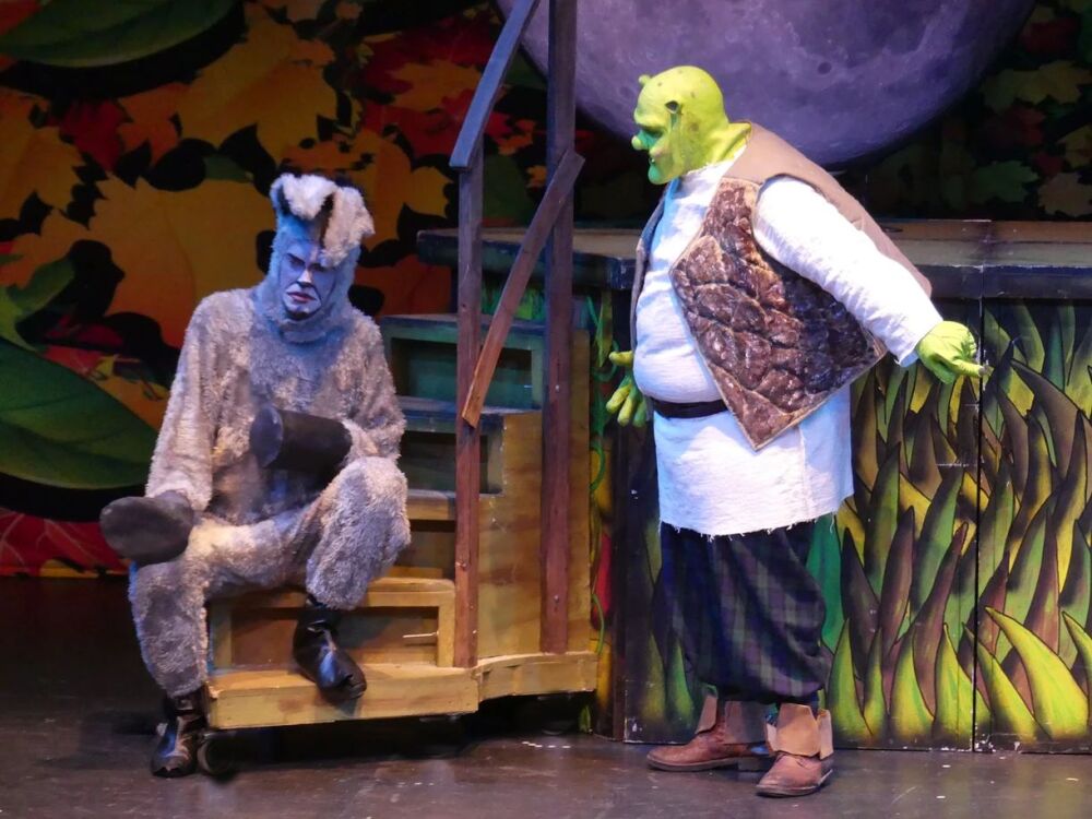 Shrek 21 - A1 STAGE SCENERY AND SET HIRE FOR