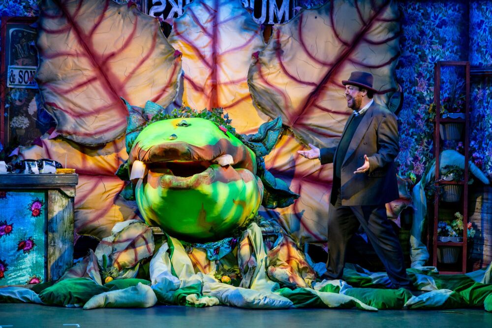LITTLE SHOP OF HORRORS - A1 STAGE SCENERY AND SET HIRE FOR - 18b