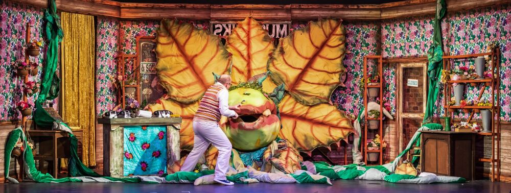 LITTLE SHOP OF HORRORS - A1 STAGE SCENERY AND SET HIRE FOR - 19b