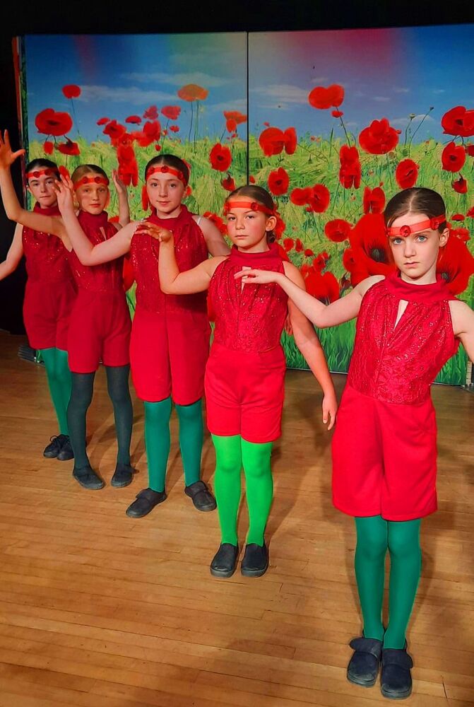 Wizard of Oz (b) - A1 STAGE - POP-UP FLATS 2.3m high - PHOTOS - 05