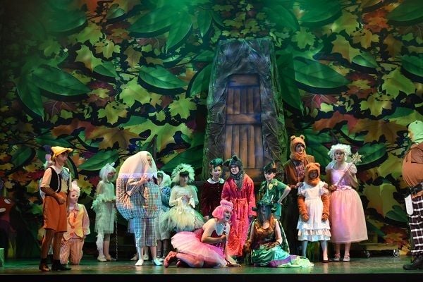 Shrek - A1 STAGE - BACKDROPS 2 - PHOTOS - 10