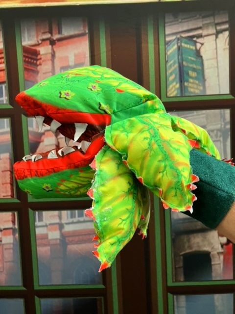 Little Shop Of Horrors - A1 STAGE - 4x Plants - Pod 1 on Hand