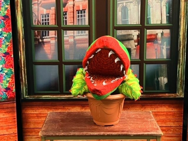 Little Shop Of Horrors - A1 STAGE - 4x Plants - Pod 2 Front View