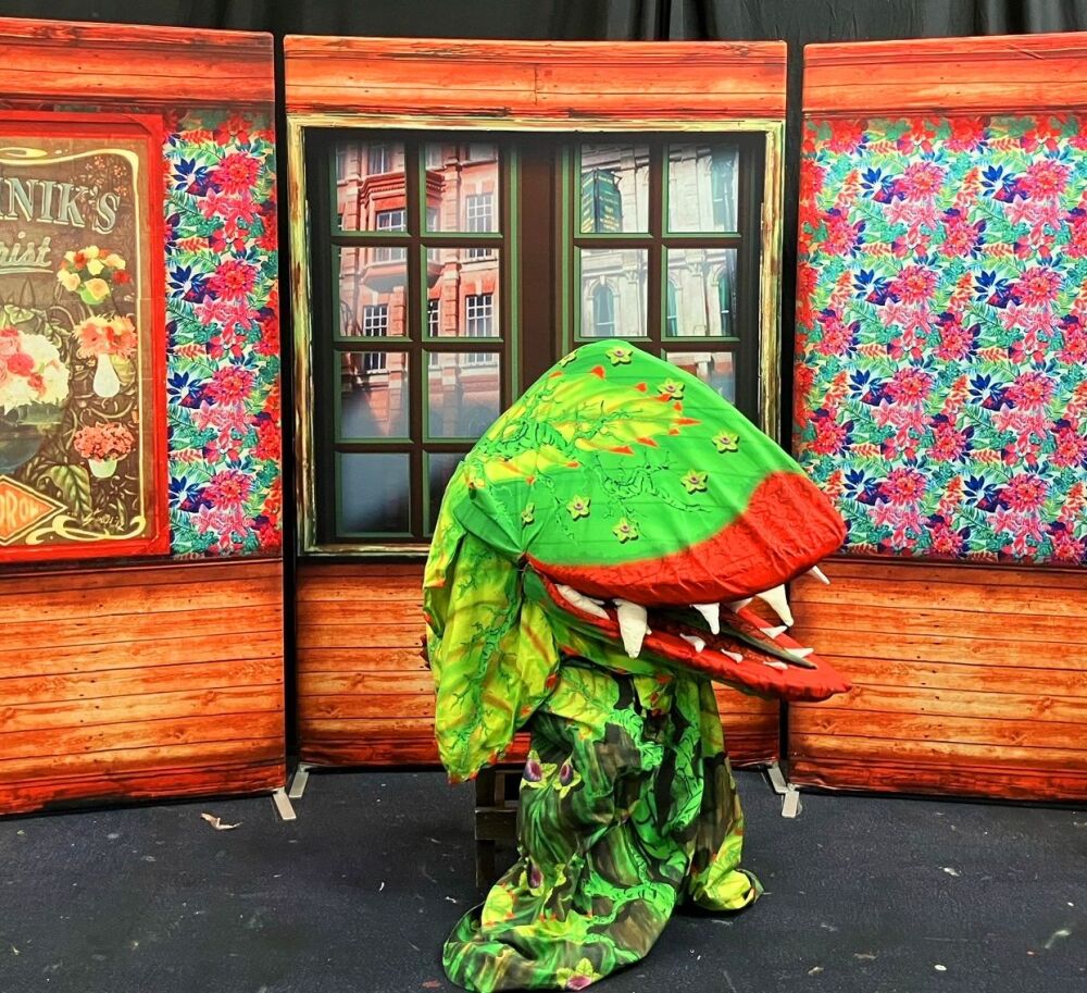 Little Shop Of Horrors - A1 STAGE - 4x Plants - Pod 3 Side View