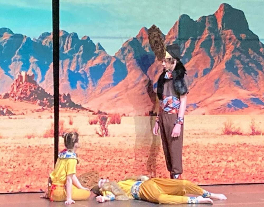 Lion King - A1 STAGE - POP-UP FLATS 2.3m high - PHOTOS - 06