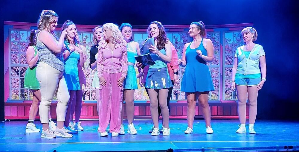 Legally Blonde - A1 STAGE - POP-UP FLATS 2.3m high - PHOTOS - 14