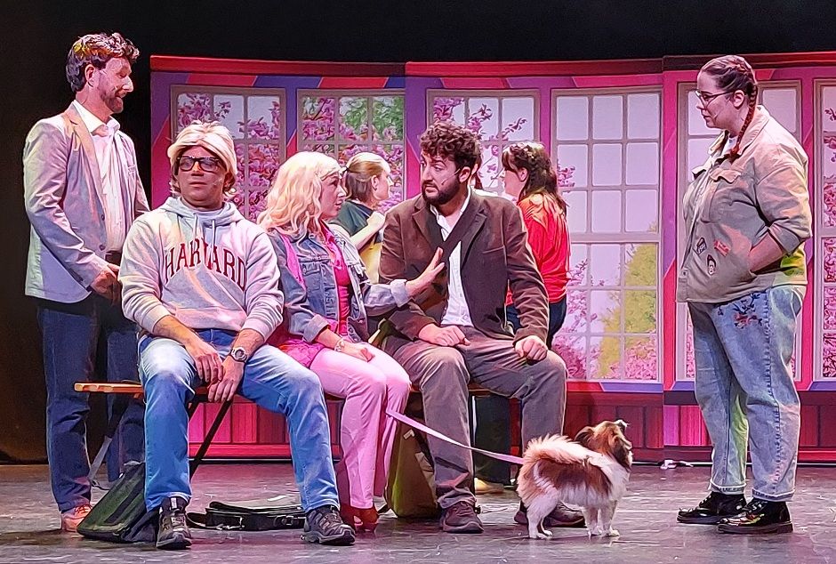 Legally Blonde - A1 STAGE - POP-UP FLATS 2.3m high - PHOTOS - 15