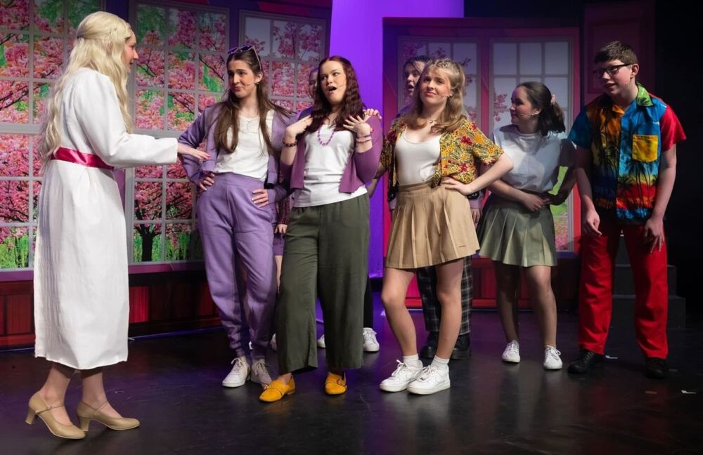 Legally Blonde - A1 STAGE - POP-UP FLATS 2.3m high - PHOTOS - 17