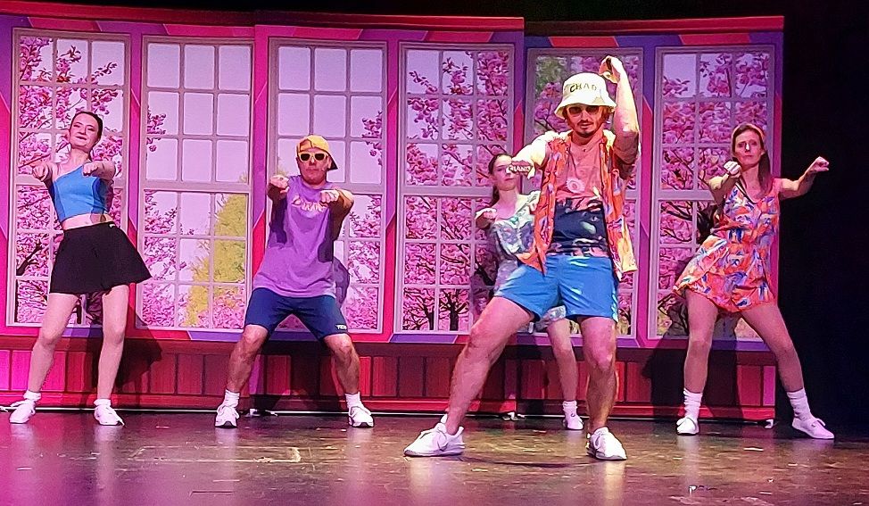 Legally Blonde - A1 STAGE - POP-UP FLATS 2.3m high - PHOTOS - 25