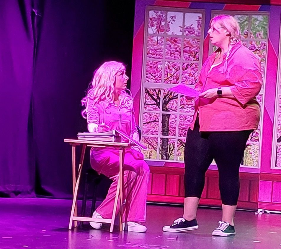 Legally Blonde - A1 STAGE - POP-UP FLATS 2.3m high - PHOTOS - 32