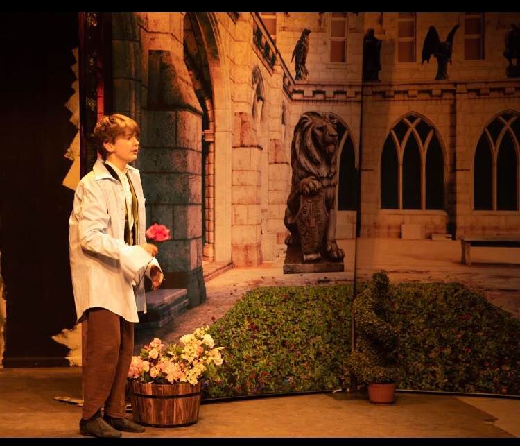 Beauty and the Beast (b) - A1 STAGE - POP-UP FLATS 2.3m high - PHOTOS - 07