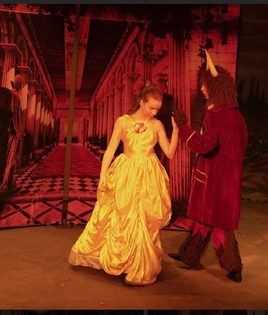 Beauty and the Beast (b) - A1 STAGE - POP-UP FLATS 2.3m high - PHOTOS - 14