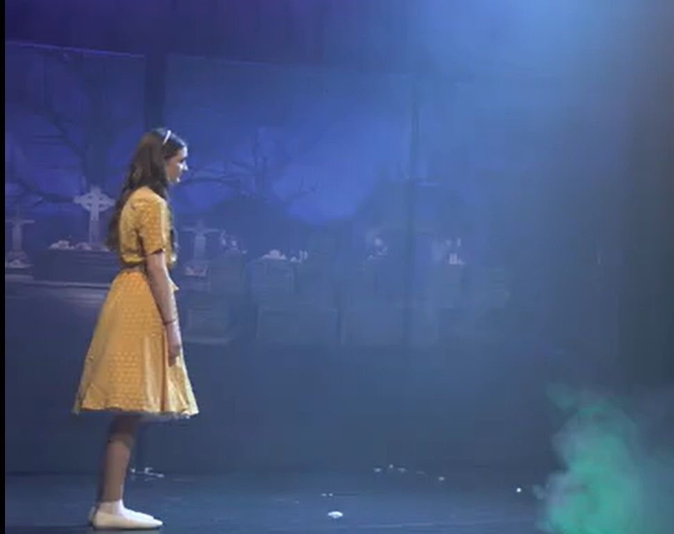 Addams Family - A1 STAGE - POP-UP FLATS 2.3m high - PHOTOS - 14