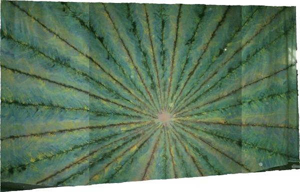 A1 STAGE BACKDROPS - BA031 - Peacock Feathers (30w X 18h).JPG