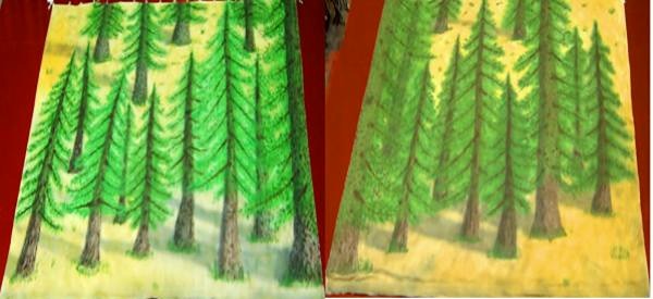 A1 STAGE BACKDROPS - BE003 -Pine Tree TABS (38w X 14h).JPG