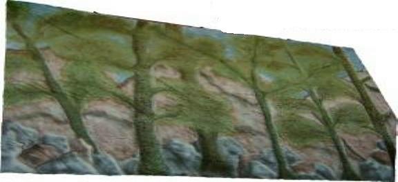 A1 STAGE BACKDROPS - BE005 -Trees with Crags (30w X 18h).JPG