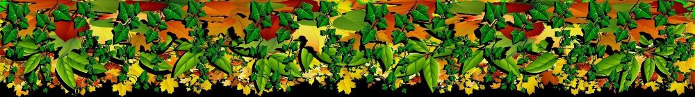 Beauty and the Beast (a) - A1 STAGE - BACKDROPS - Leafy Border 10m x 1.4m
