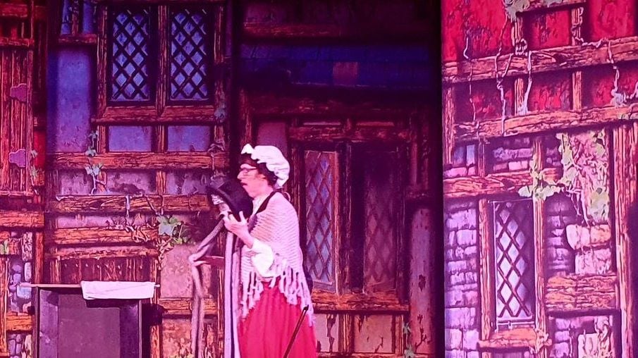 Pantomime - A1 STAGE - POP-UP FLATS 5m high - PHOTOS - 17