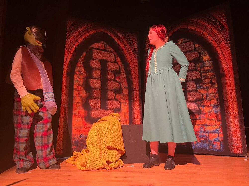 Shrek - A1 STAGE - POP-UP FLATS 2.3m high - PHOTOS - 21