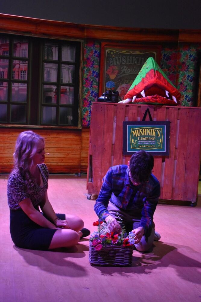 Little Shop Of Horrors - A1 STAGE - POP-UP FLATS 2.3m high - PHOTOS - 15