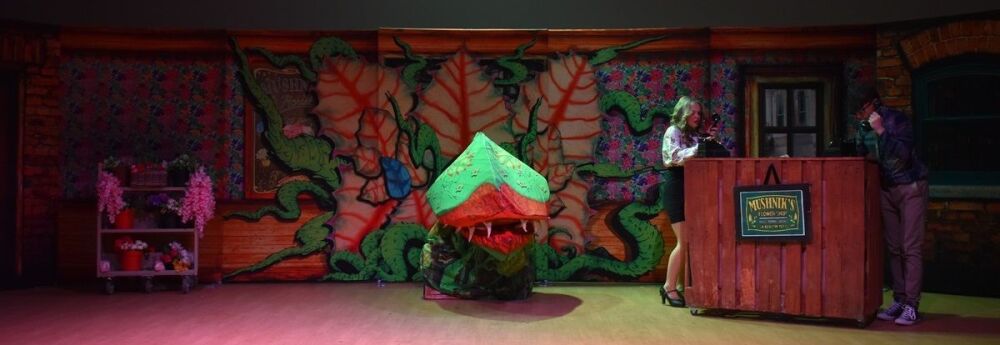Little Shop Of Horrors - A1 STAGE - POP-UP FLATS 2.3m high - PHOTOS - 16