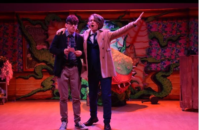 Little Shop Of Horrors - A1 STAGE - POP-UP FLATS 2.3m high - PHOTOS - 22