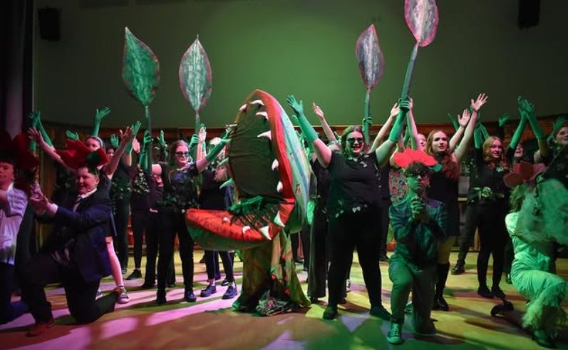 Little Shop Of Horrors - A1 STAGE - POP-UP FLATS 2.3m high - PHOTOS - 23
