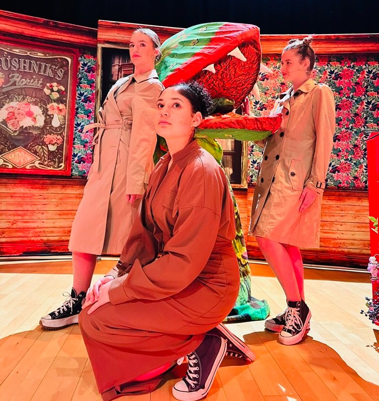 Little Shop Of Horrors - A1 STAGE - POP-UP FLATS 2.3m high - PHOTOS - 32