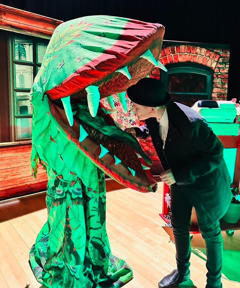 Little Shop Of Horrors - A1 STAGE - POP-UP FLATS 2.3m high - PHOTOS - 33