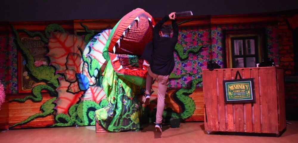 Little Shop Of Horrors - A1 STAGE - POP-UP FLATS 2.3m high - PHOTOS - 18