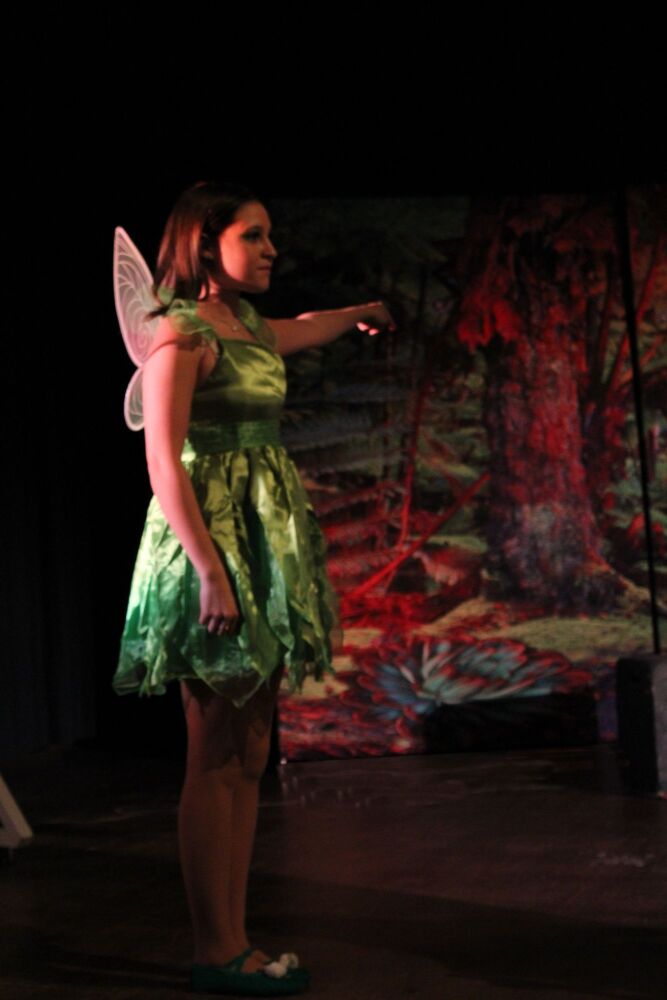 Peter Pan (a) - A1 STAGE - POP-UP FLATS 2.3m high - PHOTOS - 01