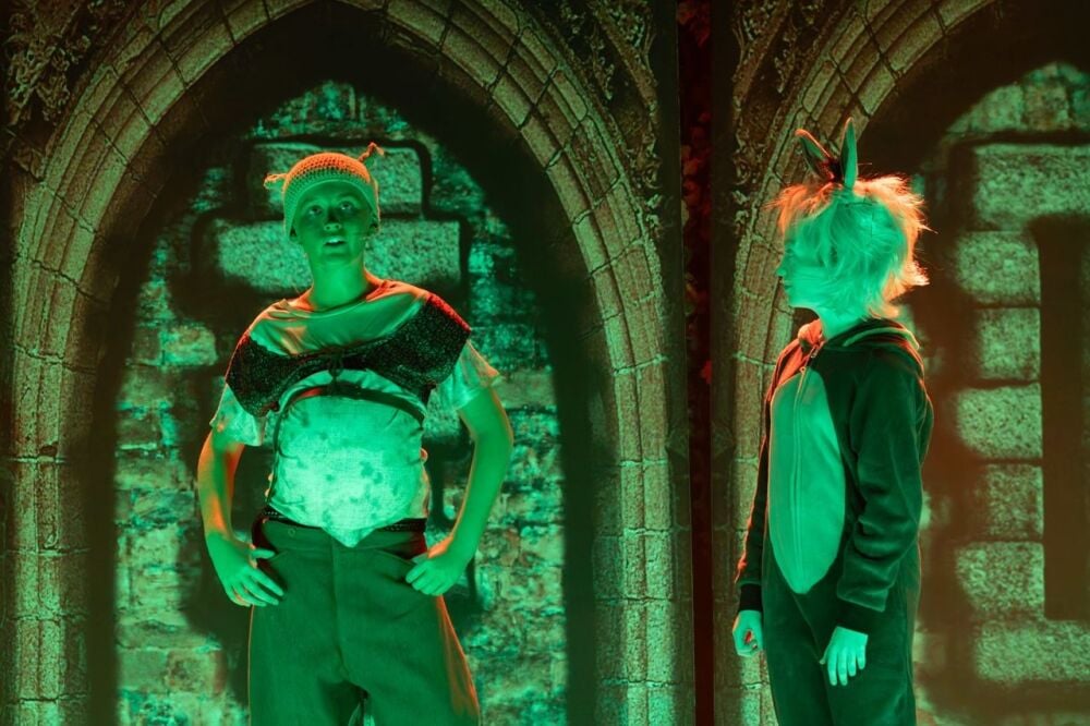 Shrek - A1 STAGE - POP-UP FLATS 2.3m high - PHOTOS - 30