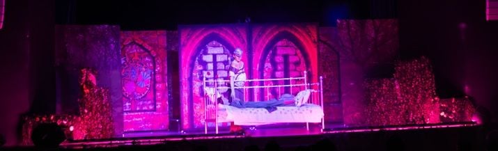 Shrek - A1 STAGE - POP-UP FLATS 2.3m high - PHOTOS - 31