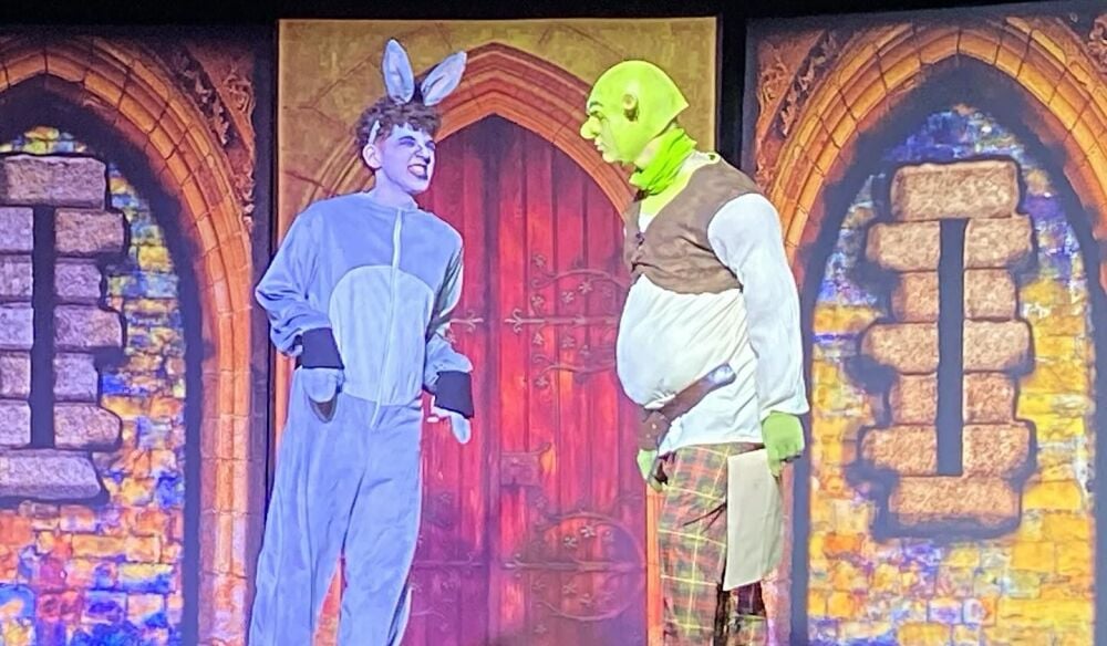 Shrek - A1 STAGE - POP-UP FLATS 2.3m high - PHOTOS - 45