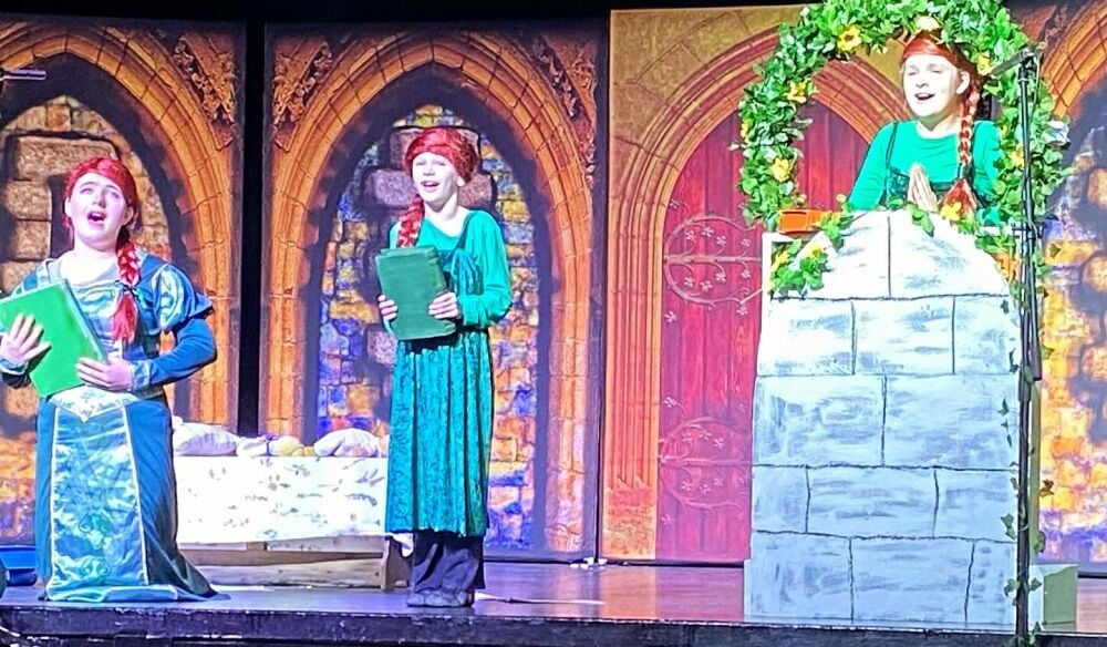 Shrek - A1 STAGE - POP-UP FLATS 2.3m high - PHOTOS - 49