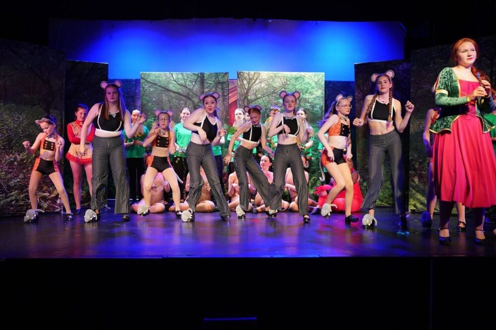 Shrek - A1 STAGE - POP-UP FLATS 2.3m high - PHOTOS - 53