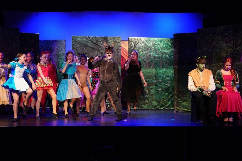 Shrek - A1 STAGE - POP-UP FLATS 2.3m high - PHOTOS - 54