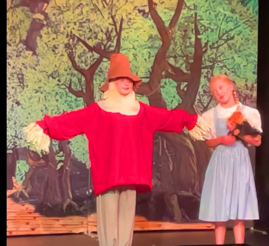 Wizard of Oz (a) - A1 STAGE - POP-UP FLATS 2.3m high - PHOTOS - 24