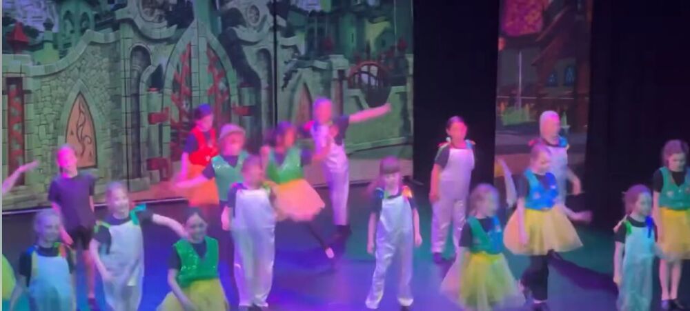 Wizard of Oz (a) - A1 STAGE - POP-UP FLATS 2.3m high - PHOTOS - 25